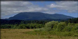 At 4,097 feet, Marys Peak is the highest of Oregon's Coast Mountains. The summit is hidden by clouds.
