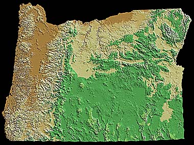 U.S.G.S. Oregon 1:2,000,000 Physical Relief Map